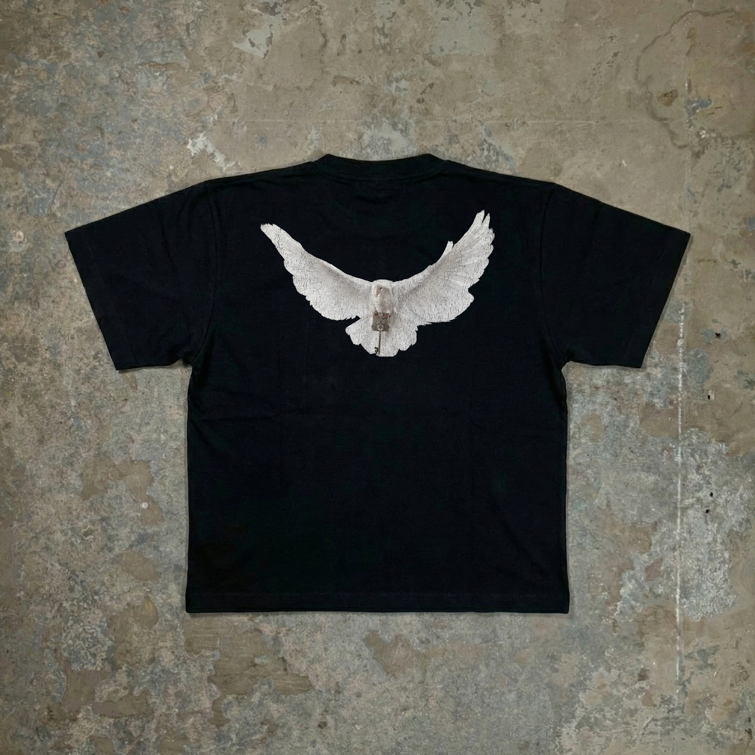 The Medallion of St. Pablo